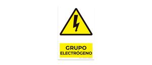 Grupo Electrogeno