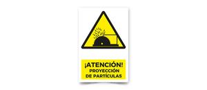 Atencion Proyeccion de Particulas